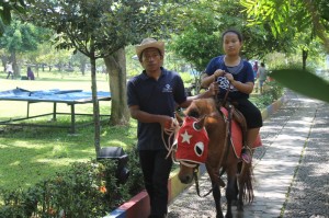 pengunjung menikmati wisata berkuda di Sanggaluri Park